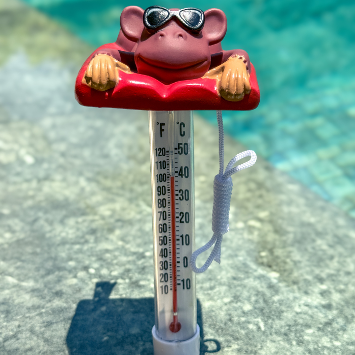Thermometer Monkey in The Sun Character | 758840 | CPA Canada
