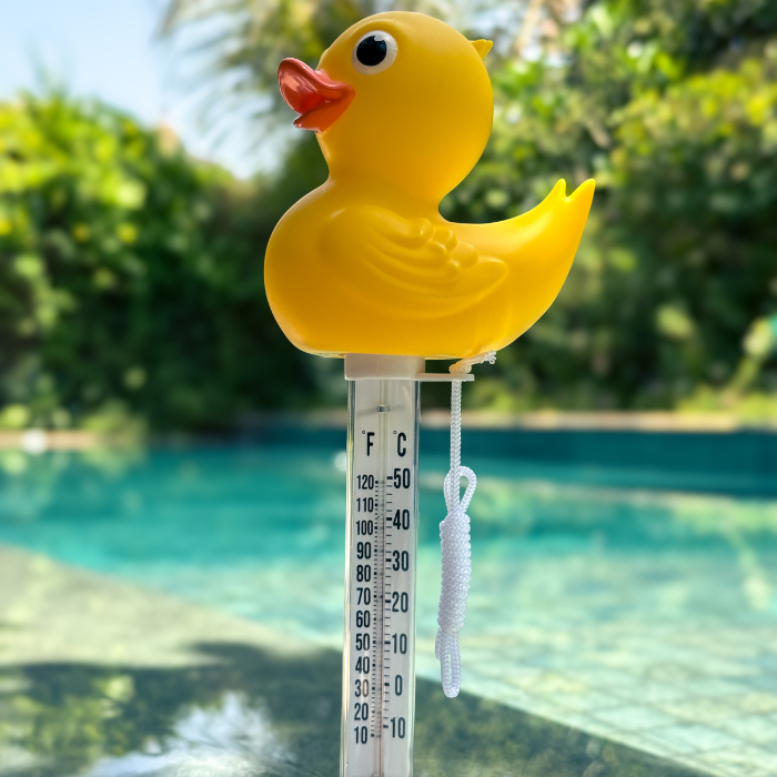 Thermometer Duck Character | 758380 | CPA Canada