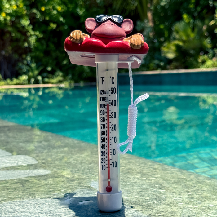 Thermometer Monkey in The Sun Character | 758840 | CPA Canada