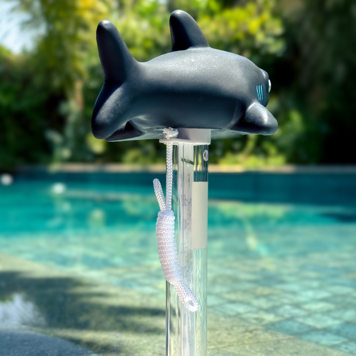 Thermometer Shark Character | 758360 | CPA Canada