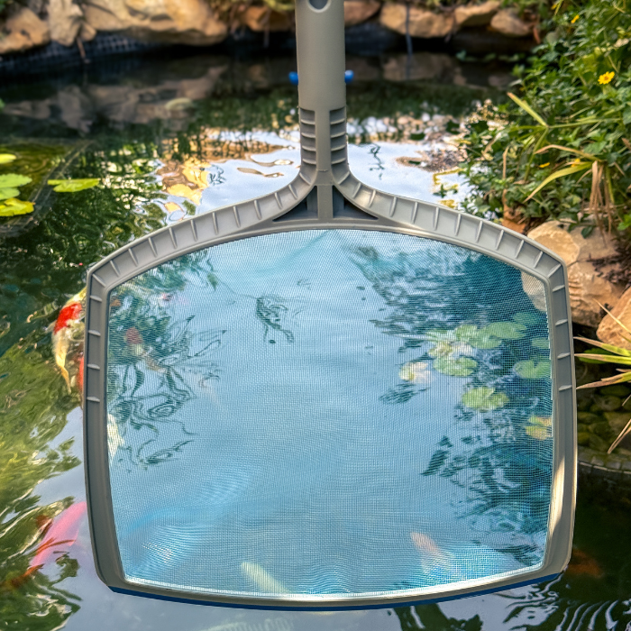 Leaf Skimmer | S16 | 932270 | CPA Canada