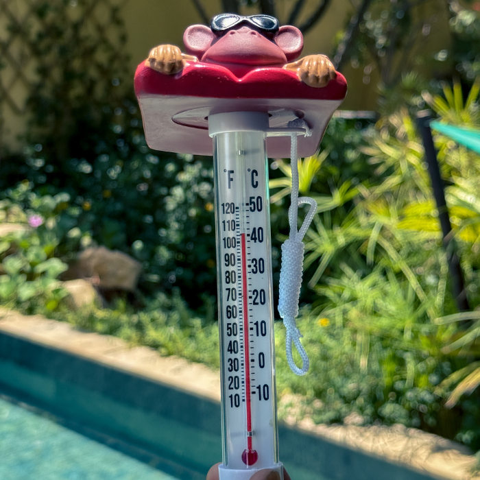 Thermometer Monkey in The Sun Character | 758840 | CPA Canada