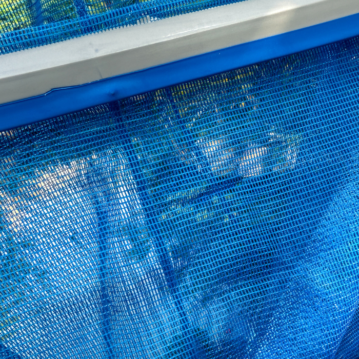 Deep Leaf Skimmer | S16 | 932430 | CPA Canada