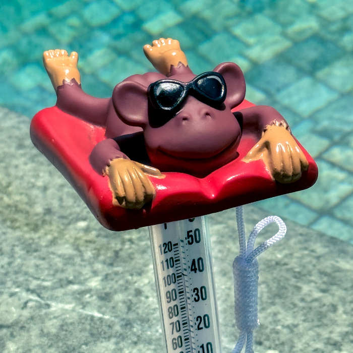 Thermometer Monkey in The Sun Character | 758840 | CPA Canada