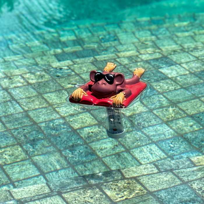 Thermometer Monkey in The Sun Character | 758840 | CPA Canada