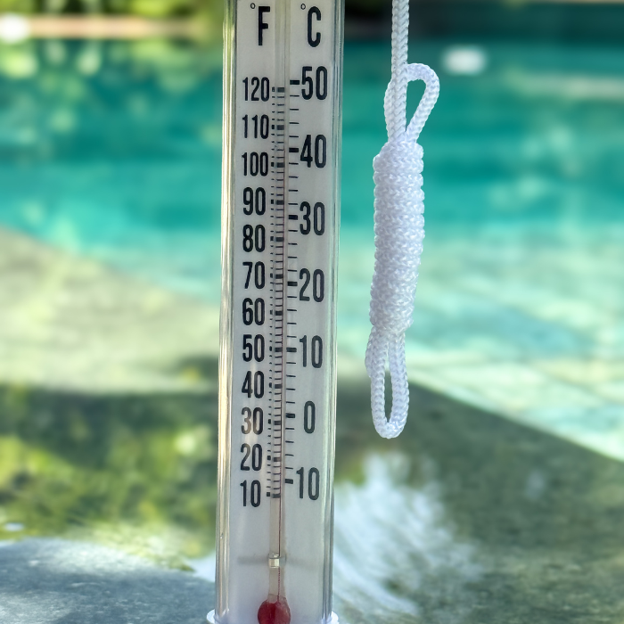 Thermometer Duck Character | 758380 | CPA Canada