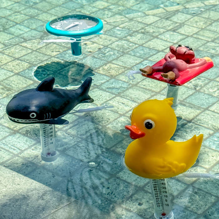 Thermometer Duck Character | 758380 | CPA Canada